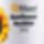 Lecitin_uj_1513140_5653_t