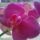 20150729_171617_1514463_7088_t