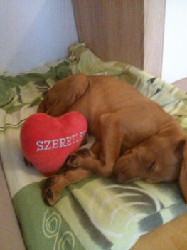 Asztor 2