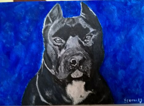 Black Devil
