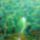 Dsc01728_1514040_5144_t