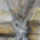 Fogsagaban____akvarellceruza_______________21x29___________________papir_1514128_2510_t