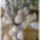 Husveti_elozetes__1514916_1685_t