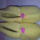 2010-032_1515606_5256_t