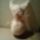 20170302_1812_1515154_1292_t
