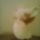 20170302_1813-001_1515753_5753_t