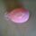 20170316_1435-003_1515167_6008_t
