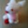20170316_1435-004_1515171_7822_t