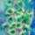 Fenyt_1515045_2348_t