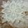 Munkaim_039_1515540_5718_t