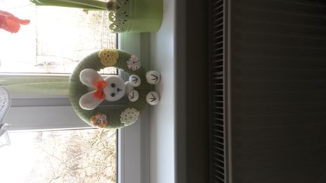 20170213_113443