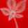 Anya_045_1516039_2463_t