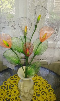 Harisnya 2