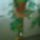 Harisnya_3_1516965_8302_t