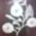 Mami_015_1368488_3212_1516085_5895_t