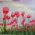 Tulipanok-001_1516241_7546_t