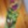 Ballagasi_csokor11_1517581_8160_t