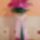 Ballagasi_csokor7_1517571_7445_t