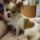 Cuki_8_1517513_9955_t