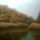 Folyomenti_erdo_1517528_3238_t