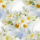 Glitteres_margareta_1517077_1821_t