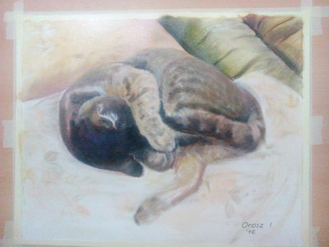 Játszadozás egyedül 40x50 olaj, vászon