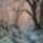 Kodos_erdo_1517534_3069_t