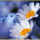 Margareta_pillangokkal_1517078_6584_t