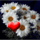 Margareta_szivvel_1517079_9903_t
