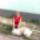947043_645338062148683_1399115556_n_1518266_3960_t