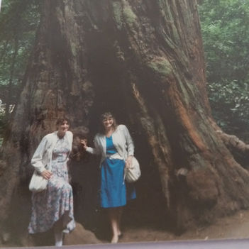 Hatalams Redwoodfák árnyékában Yosemite