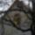 Osz_1518671_6852_t