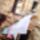 Szarado_ruhak_1518740_1514_t