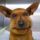 A_mehecske_nem_ennivalo-002_1519668_1681_t