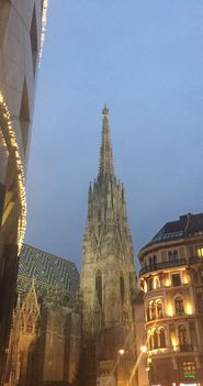 Dom