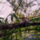 Gimpafrany-001_1519211_3433_t