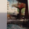 Los_angeles_1519677_7280_s
