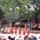 Tanc_a_tonga_szigeteken-001_1519218_5435_t