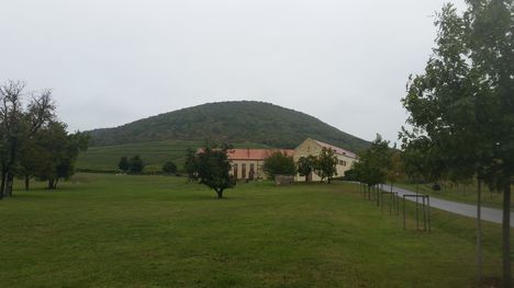 Tokaj hegyalja 3