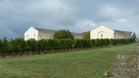Tokaj hegyalja 8