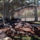 Ucla_park_erdekes_fai_1519695_3401_t