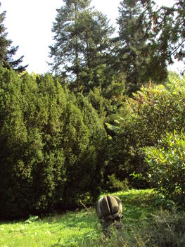 2010.09.Kirándulás vendégeinkel 008
