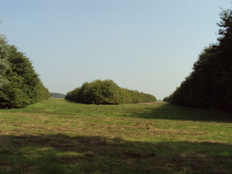 2010.09.Kirándulás vendégeinkel 033