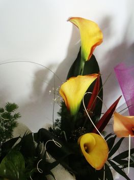 2010 1