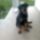 5_honapos_1510878_6168_t