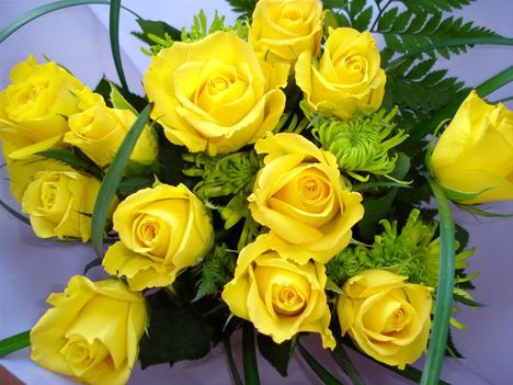 best yellow roses