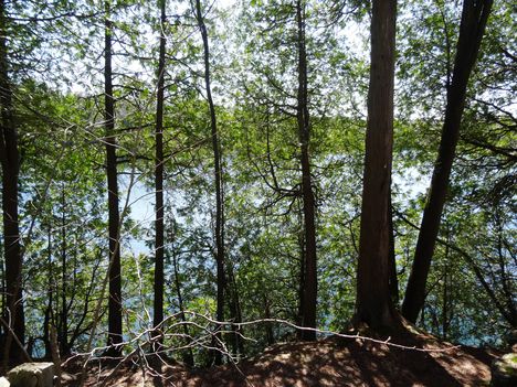 Canada, Ontario, Crawford Lake 2015. április 18.-án
