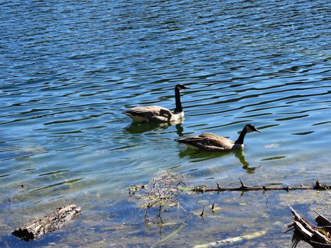 Canada, Ontario, Crawford Lake 2015. április 18.-án