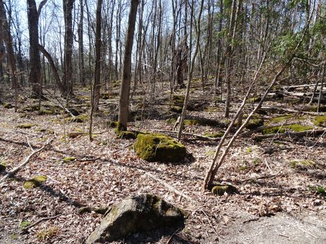 Canada, Ontario, Crawford Lake 2015. április 18.-án