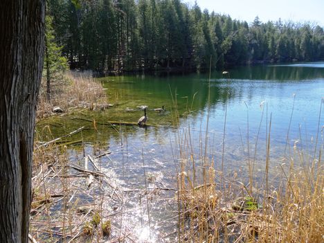 Canada, Ontario, Crawford Lake 2015.április 18.-án